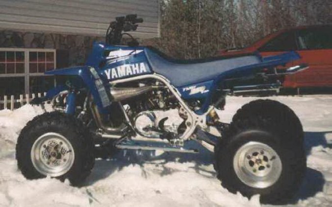 YOSEMITE SAM'S 2001 BANSHEE